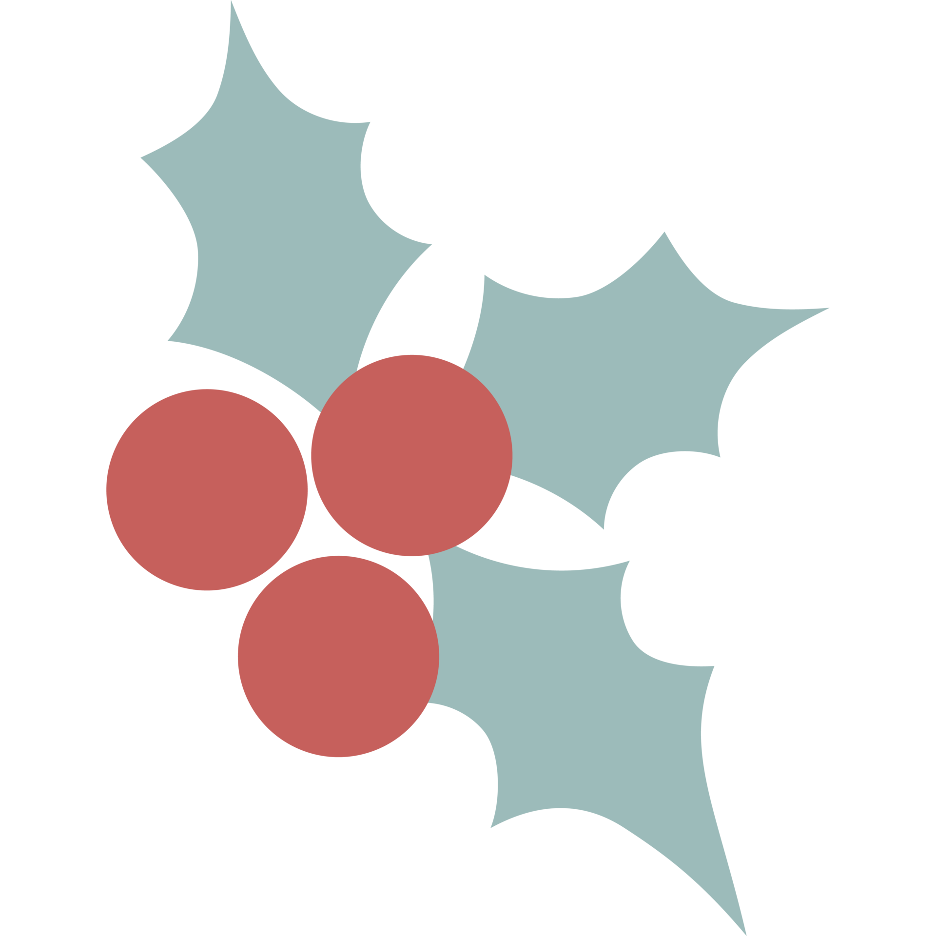 Free Christmas Mistletoe. Berries and leaves 12031170 PNG with