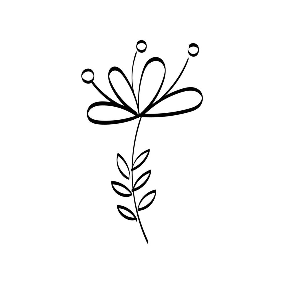 Floral Art.  flower drawing with line-art. vector