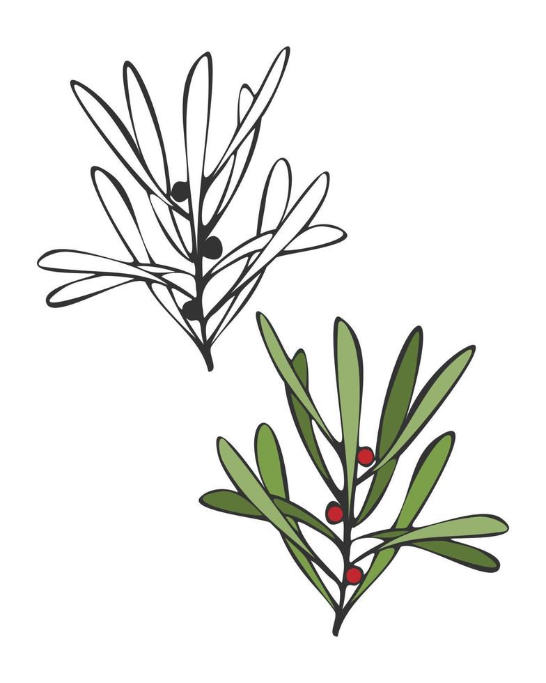 Doodle twigs with berries. Cranberry. Outline and color design element. Isolated, white background. vector
