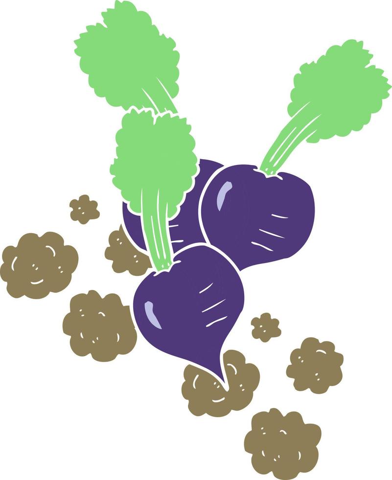 flat color illustration of beetroot vector