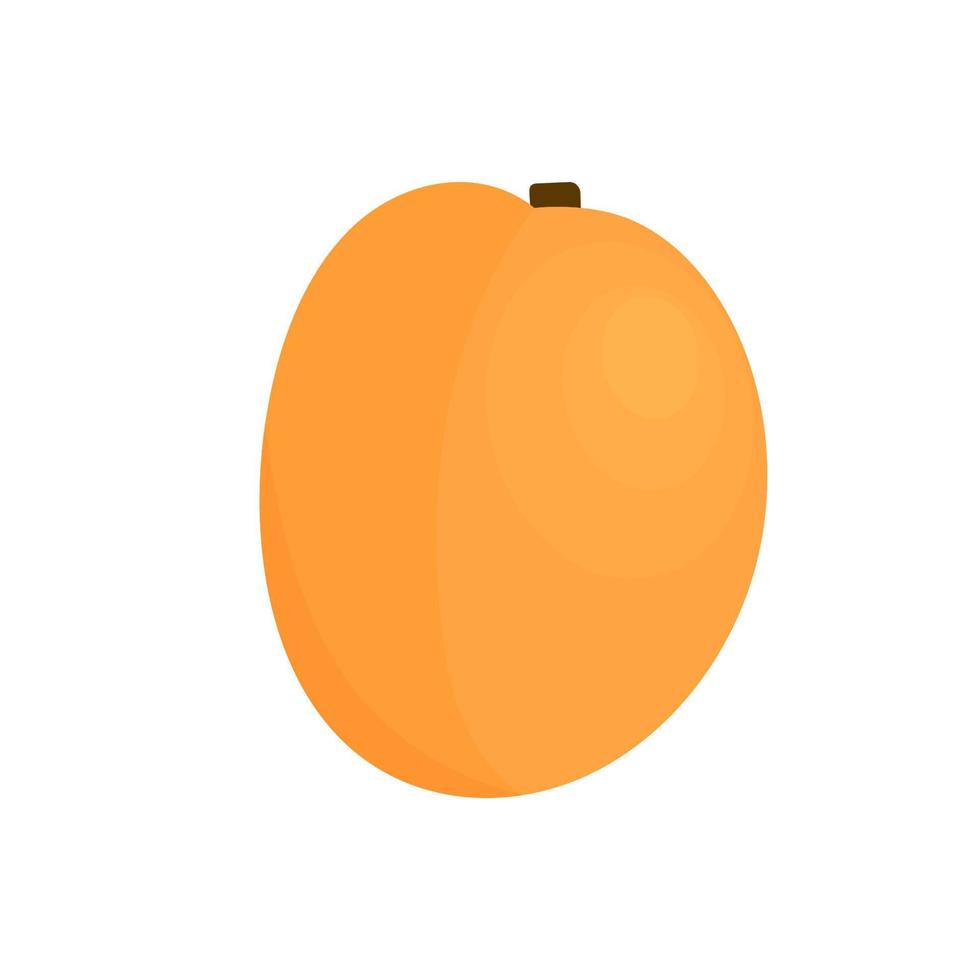 Cartoon apricot isolated on white background. Vector illustration