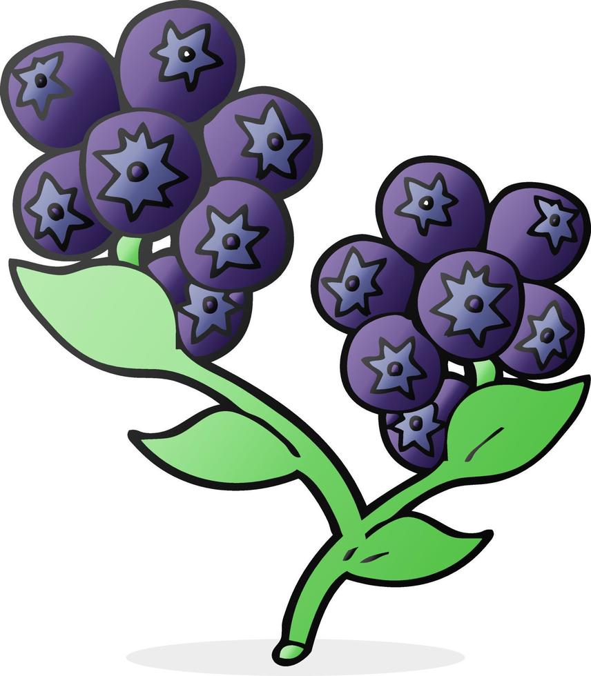 freehand drawn cartoon blueberries vector