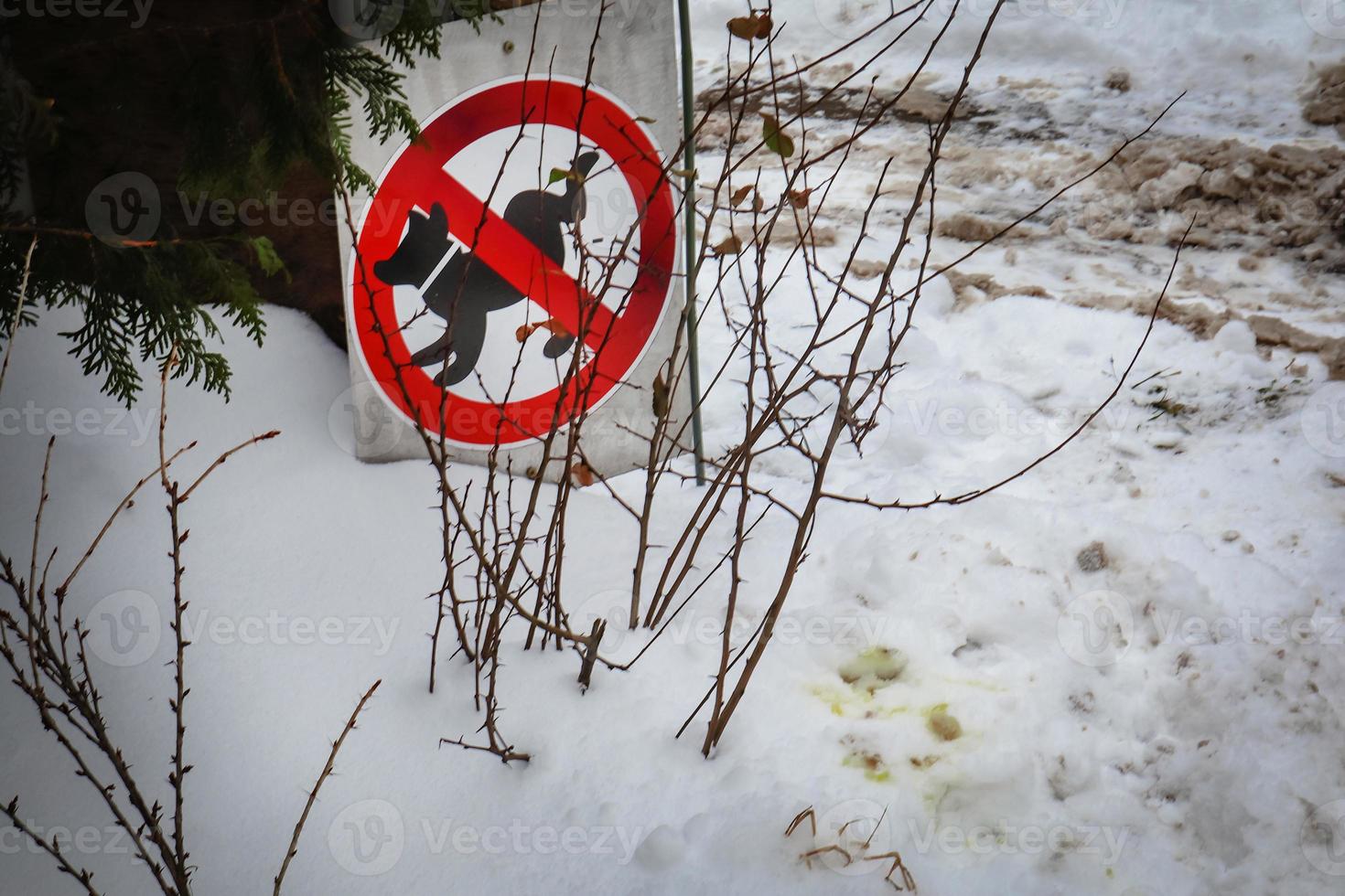 A round red sign prohibiting dog walking on area near building with yellow marks on snow photo