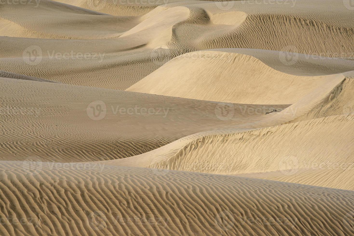 dunas de arena del desierto al atardecer foto