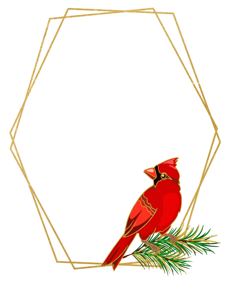 cadre doré avec cardinal rouge, illustration de noël. cadre géométrique de feuillage doré de noël png