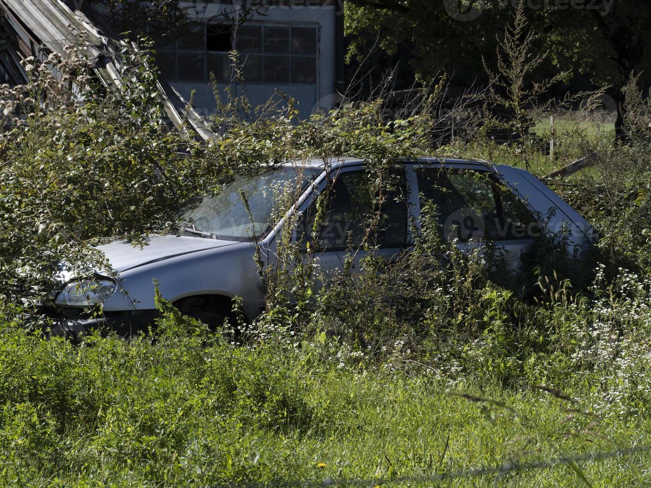 Old abandoned Rusted Car in a field photo