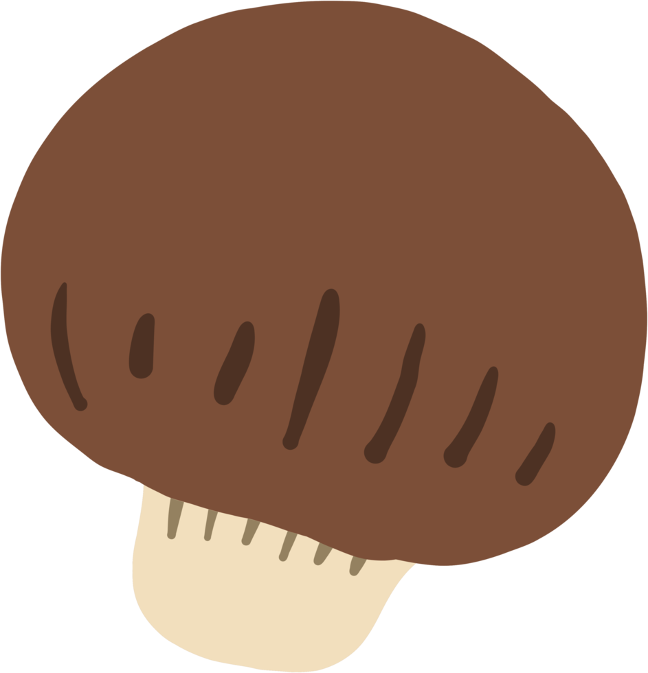 doodle freehand sketch drawing of mushroom vegetable. png