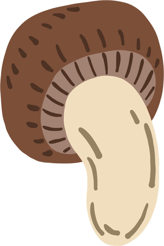 doodle freehand sketch drawing of mushroom vegetable. png
