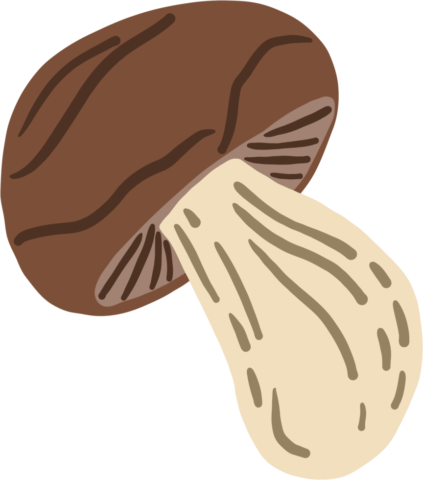 doodle freehand sketch drawing of mushroom vegetable. png