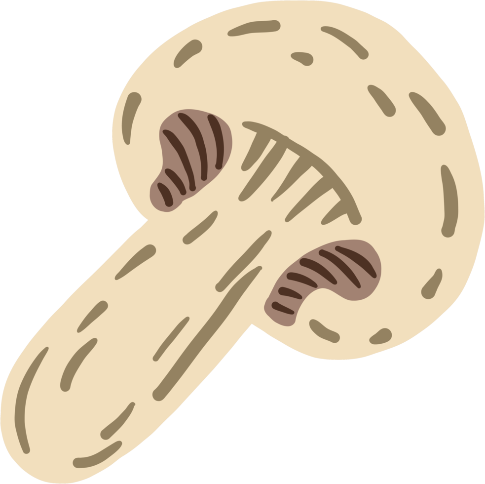 doodle croquis à main levée dessin de légume champignon. png