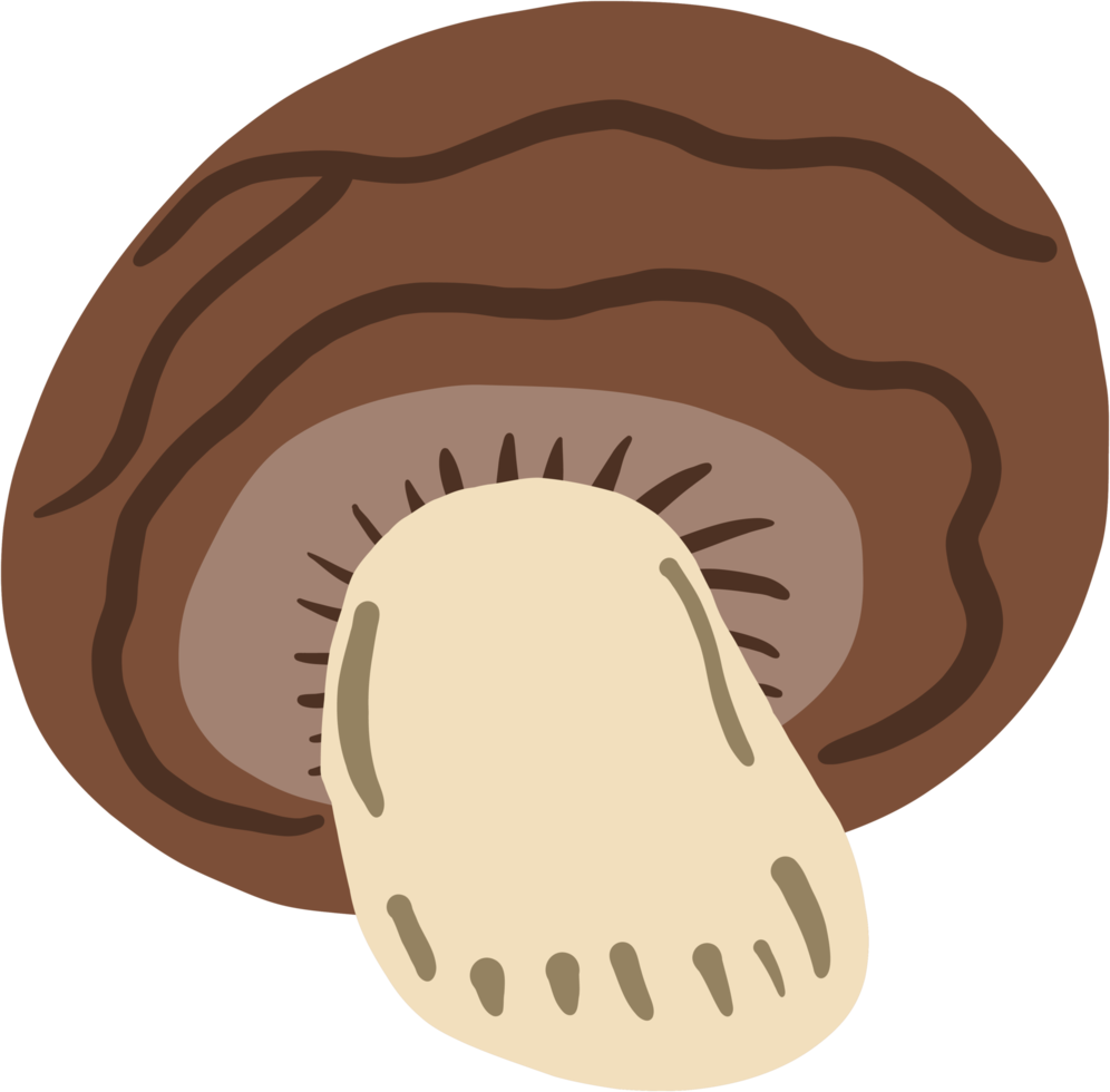 doodle freehand sketch drawing of mushroom vegetable. png