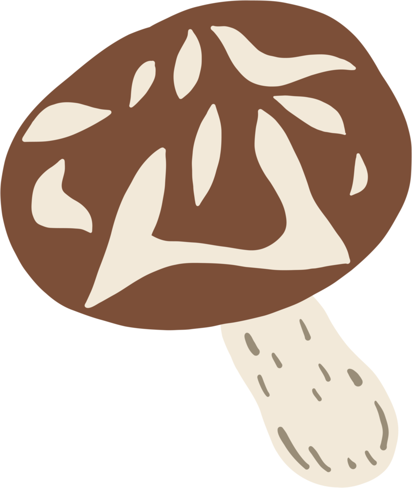 doodle freehand sketch drawing of shitake mushroom vegetable. png