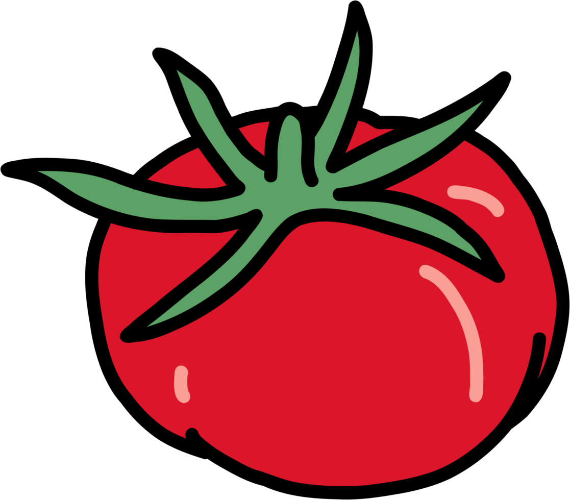 dibujo a mano alzada del esquema del garabato de la verdura del tomate. png