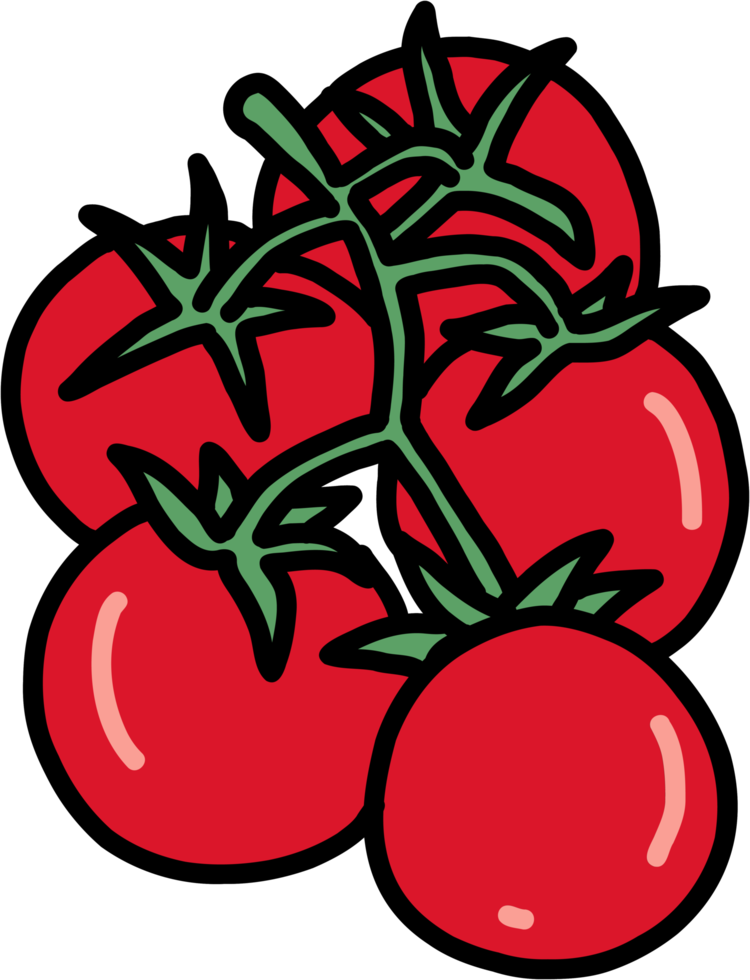 doodle esboço esboço à mão livre desenho de tomate vegetal. png