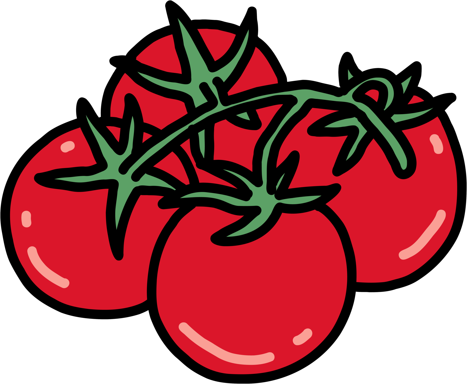 doodle outline freehand sketch drawing of tomato vegetable. 12038010 PNG