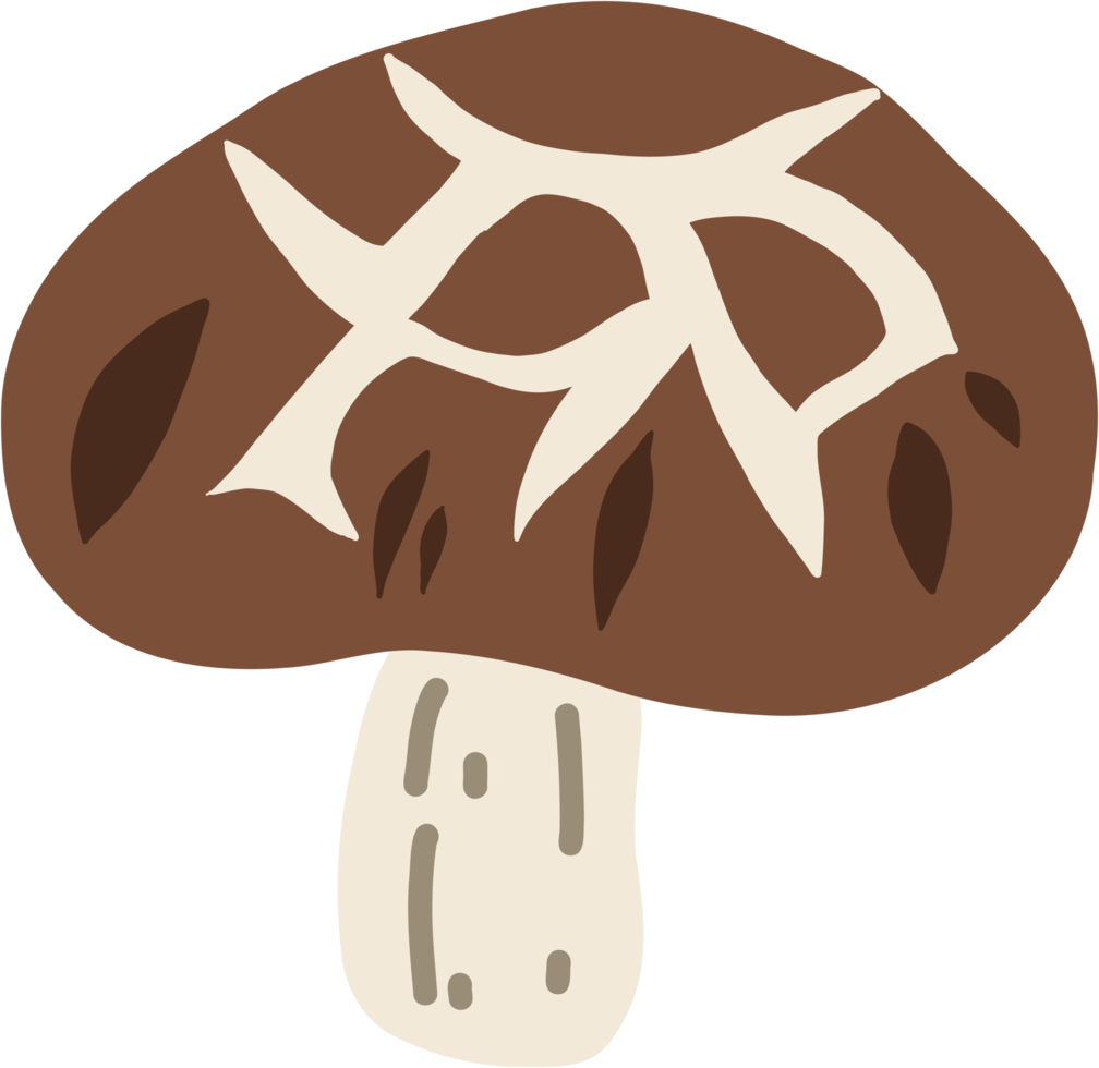 doodle croquis à main levée dessin de légume champignon shitake. png