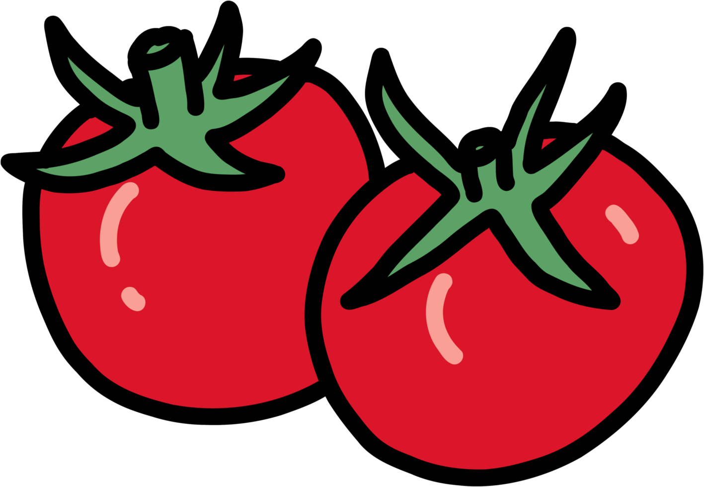 Doodle Umriss Freihandskizze Zeichnung von Tomatengemüse. png