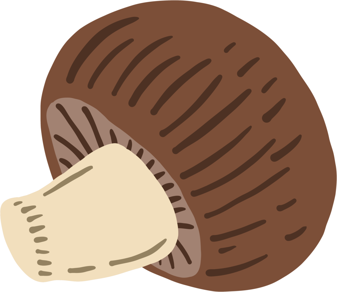 doodle freehand sketch drawing of mushroom vegetable. png