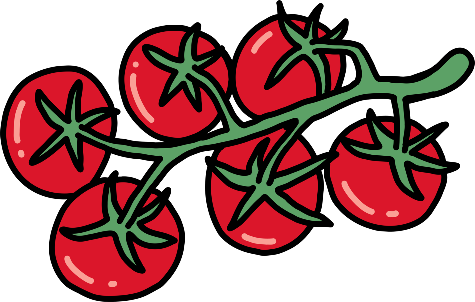 doodle esboço esboço à mão livre desenho de tomate vegetal. png