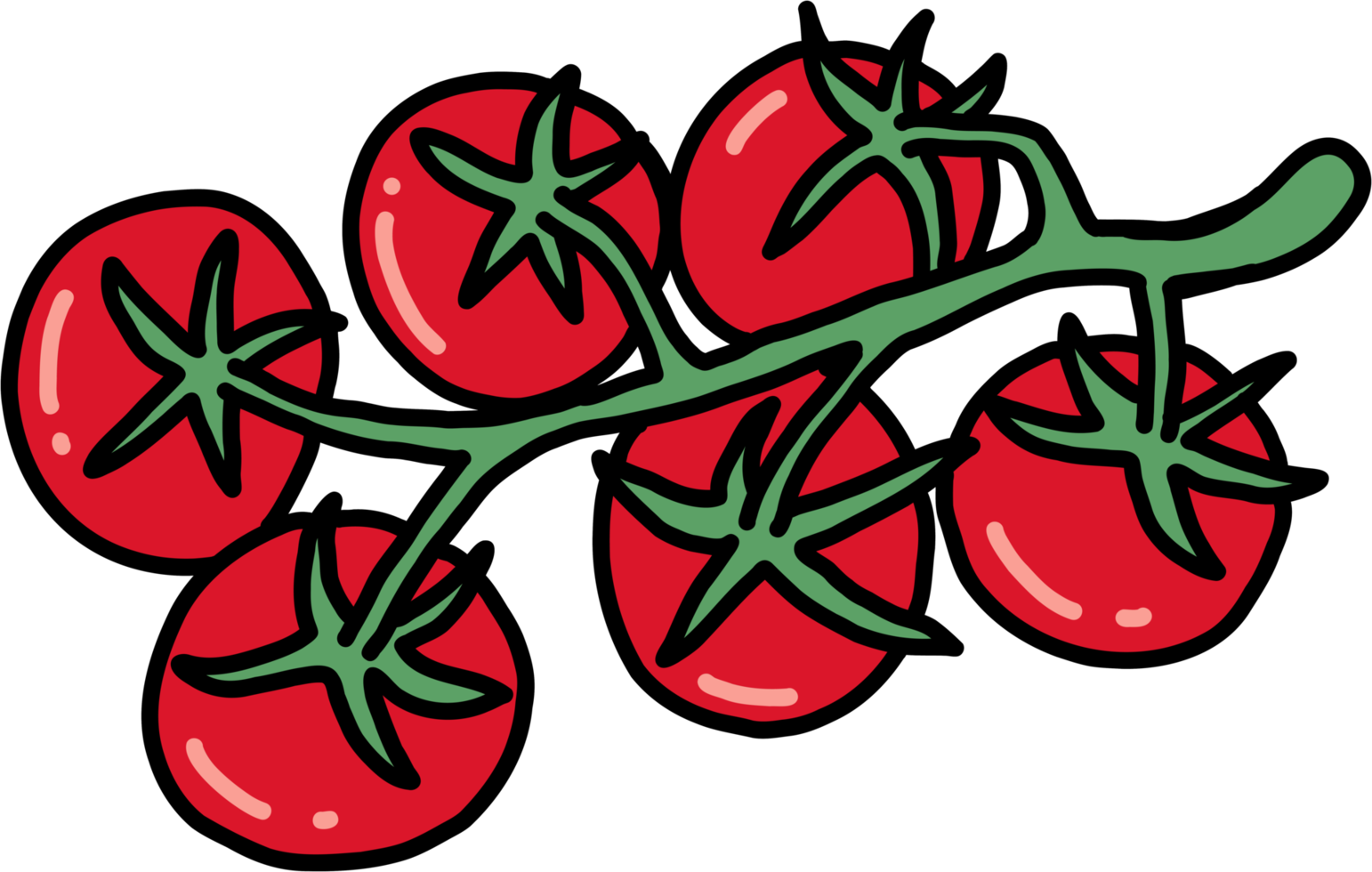 doodle outline freehand sketch drawing of tomato vegetable. png