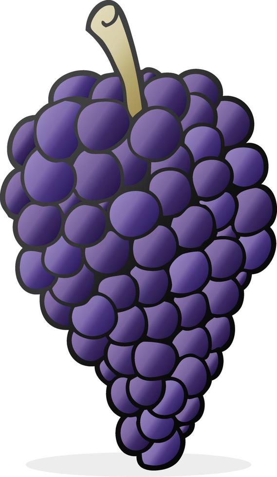freehand drawn cartoon grapes vector