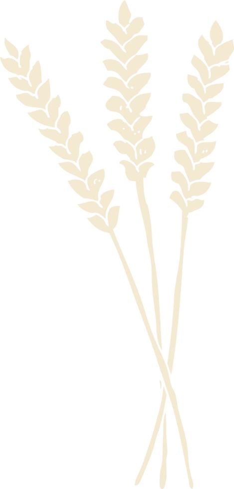 flat color illustration of wheat vector