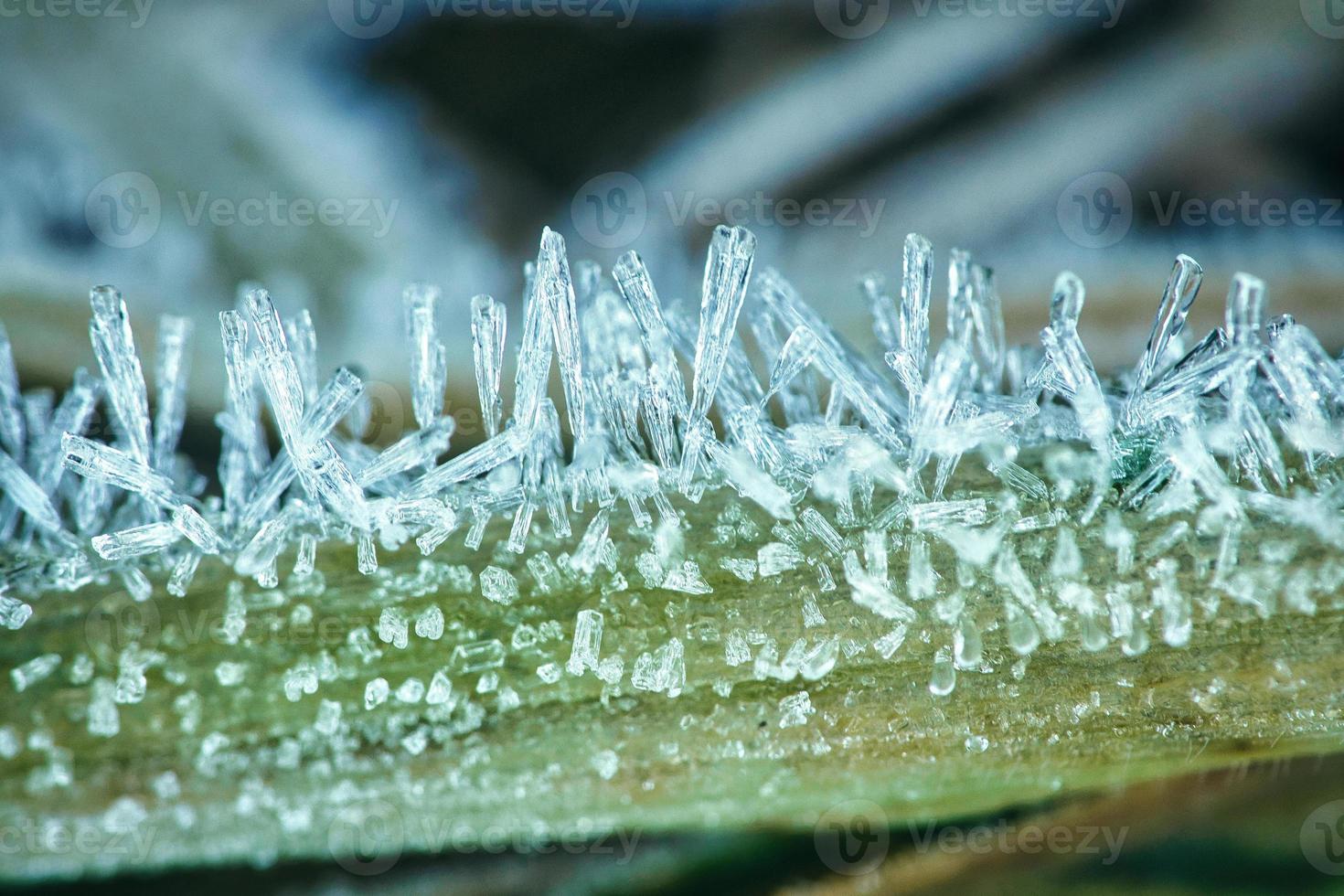 Ice crystals on a blade of grass in winter. Close up of frozen water. Macro shot photo