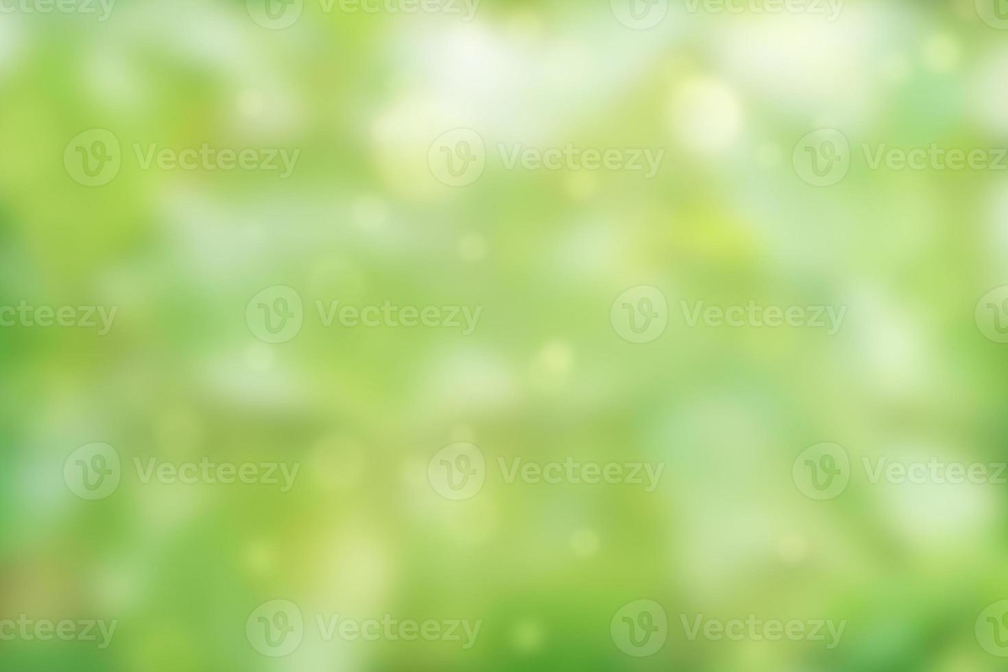 blurry green tree for text input make a background image photo