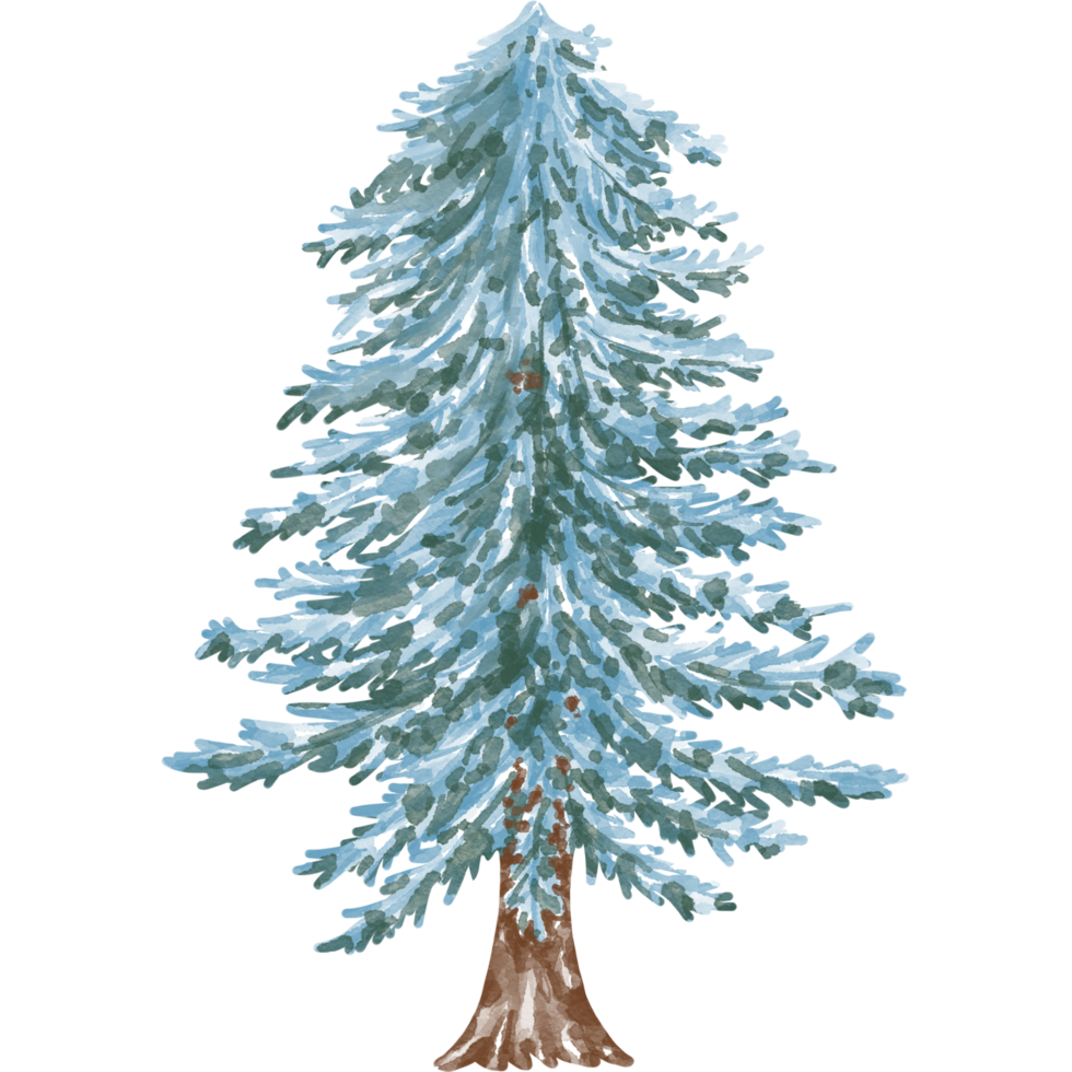 jul träd illustration designad med vattenfärg grafik tekniker. transparent bakgrund lämplig för jul tema dekorationer, digital utskrift, väska design, gåvor, jul kort, klistermärke png