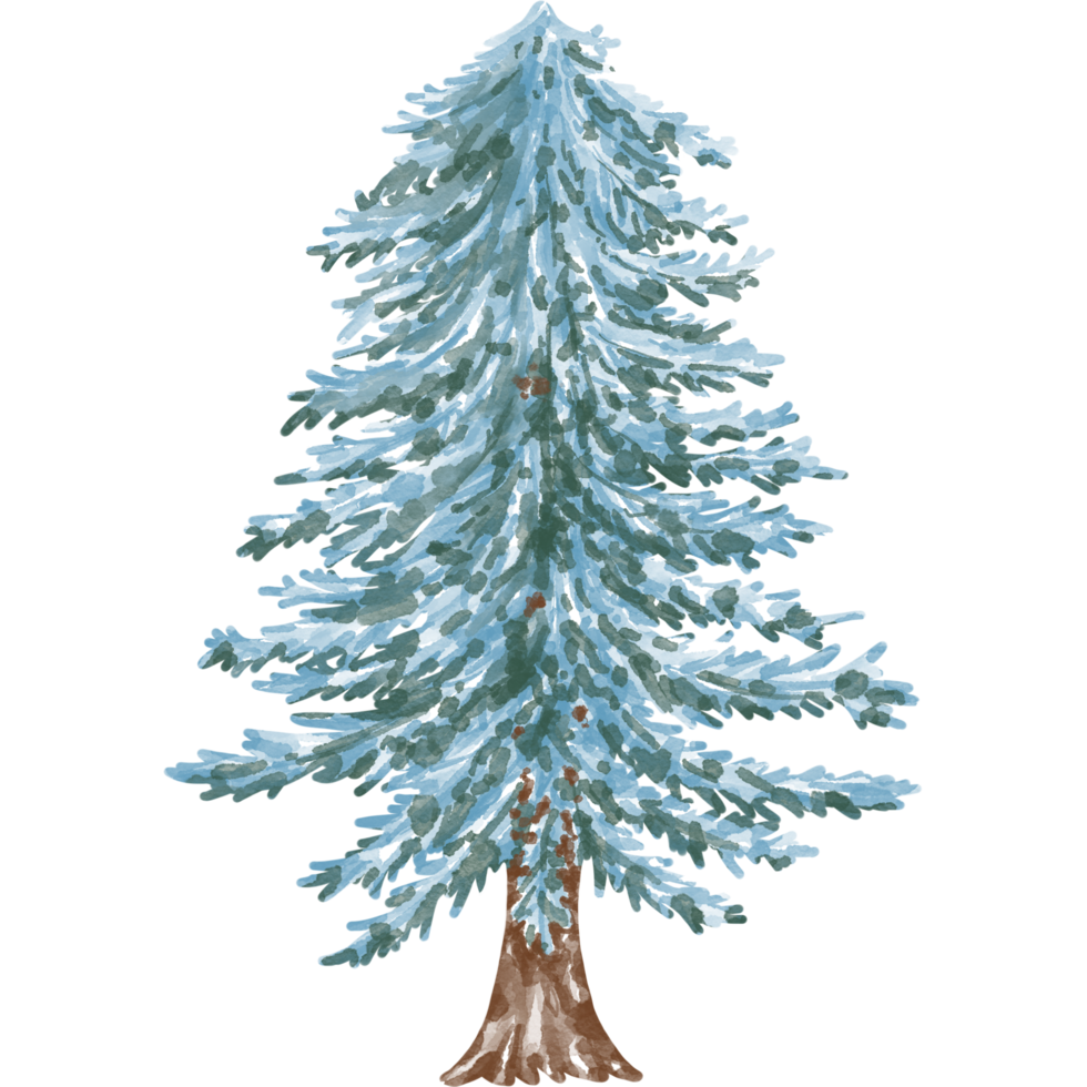 Christmas tree illustration Designed with watercolor graphics techniques. transparent background Suitable for Christmas theme decorations, digital printing, bag design, gifts, Christmas cards, sticker png