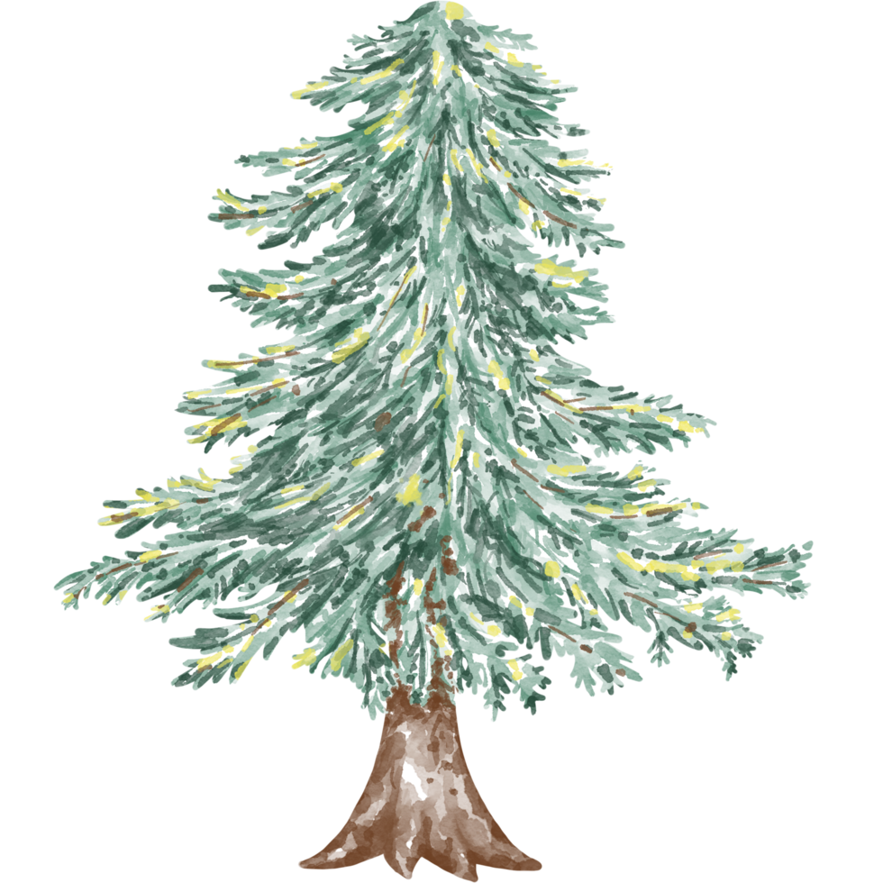 Christmas tree illustration Designed with watercolor graphics techniques. transparent background Suitable for Christmas theme decorations, digital printing, bag design, gifts, Christmas cards, sticker png