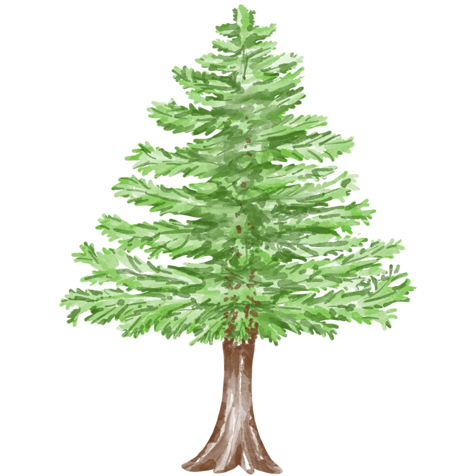 Natale albero illustrazione progettato con acquerello grafica tecniche. trasparente sfondo adatto per Natale tema decorazioni, digitale stampa, Borsa disegno, i regali, Natale carte, etichetta png