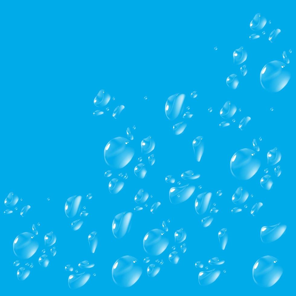 Water drops dew vector