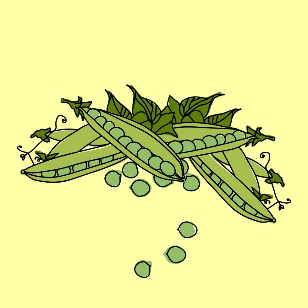green peas one line vector
