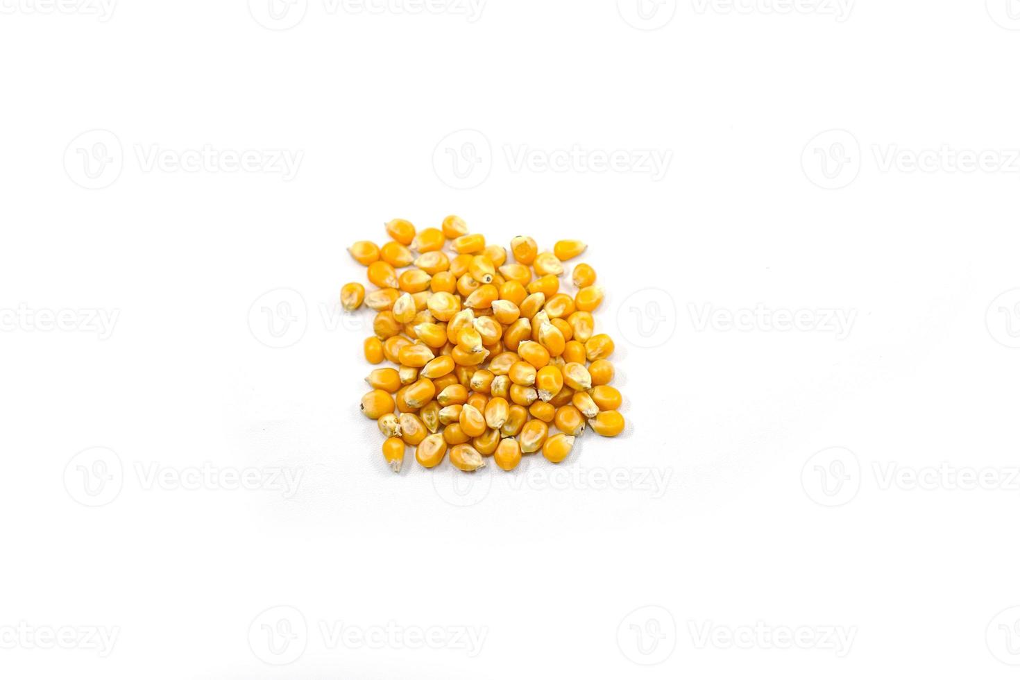 Mushroom corn kernel type used to make popcorn photo