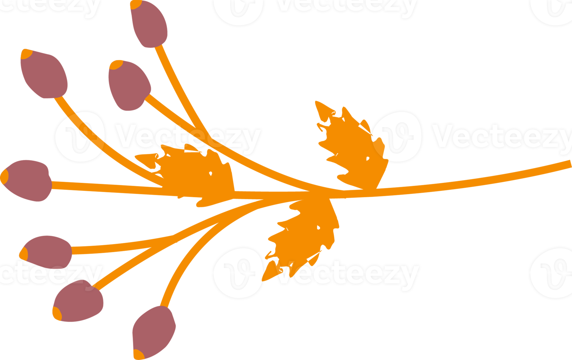 Branch with berries. Illustration 12042254 PNG