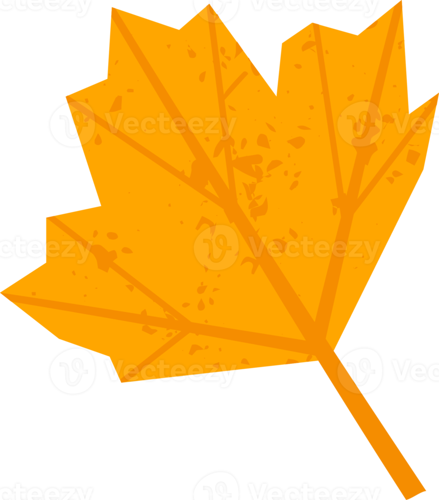 Autumn leaf. Illustration png