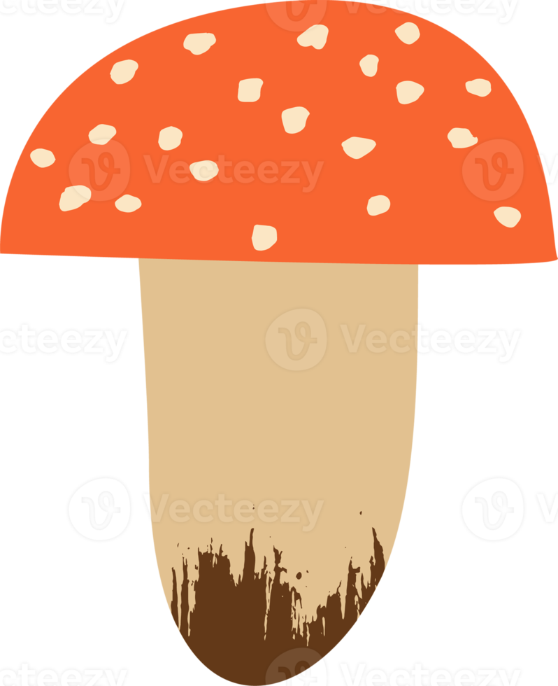 Forest mushroom. Illustration png