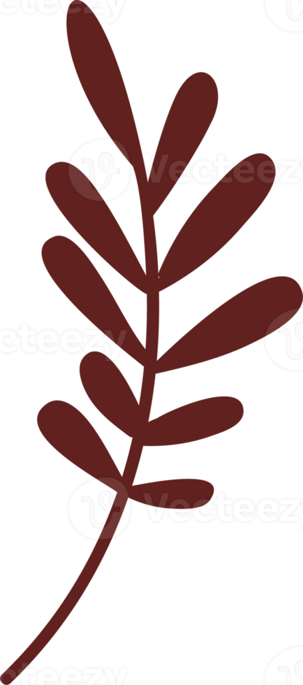 Branch. Isolated illustration. png