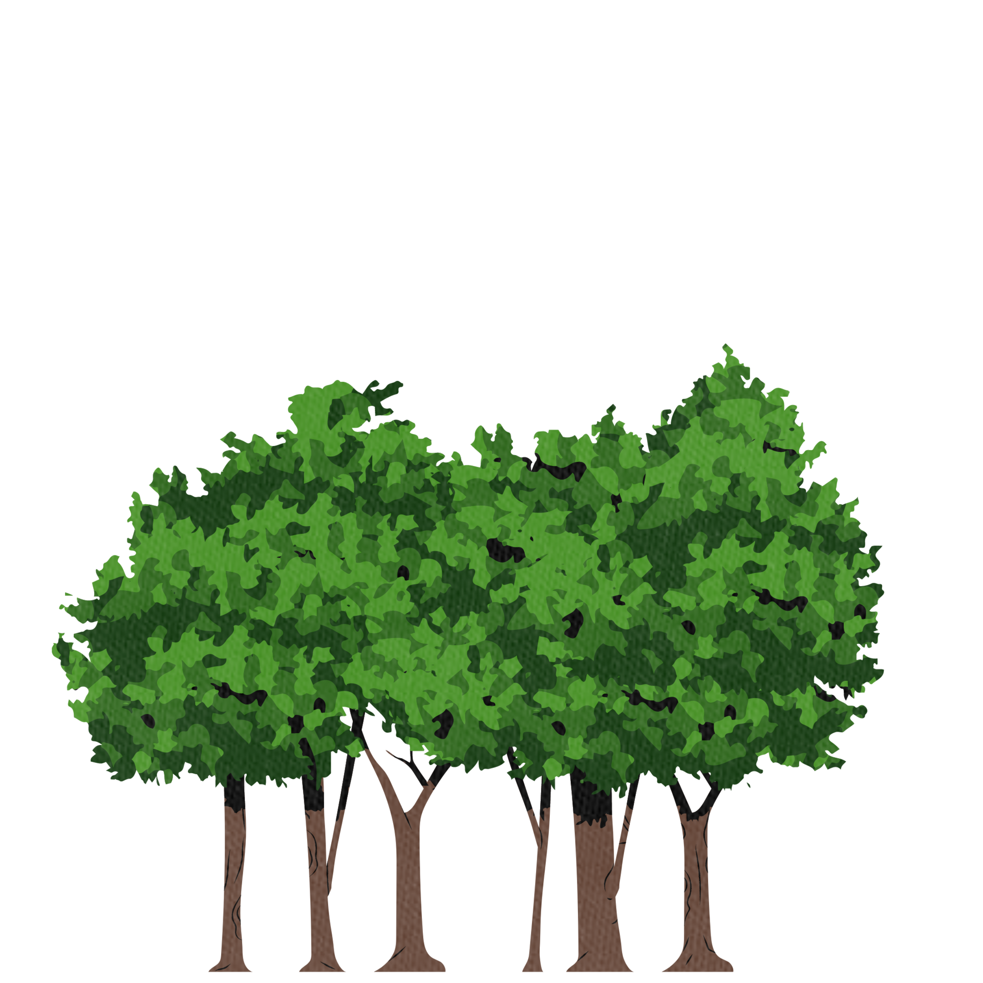 Free Realistic Trees illustration 12042619 PNG with Transparent Background