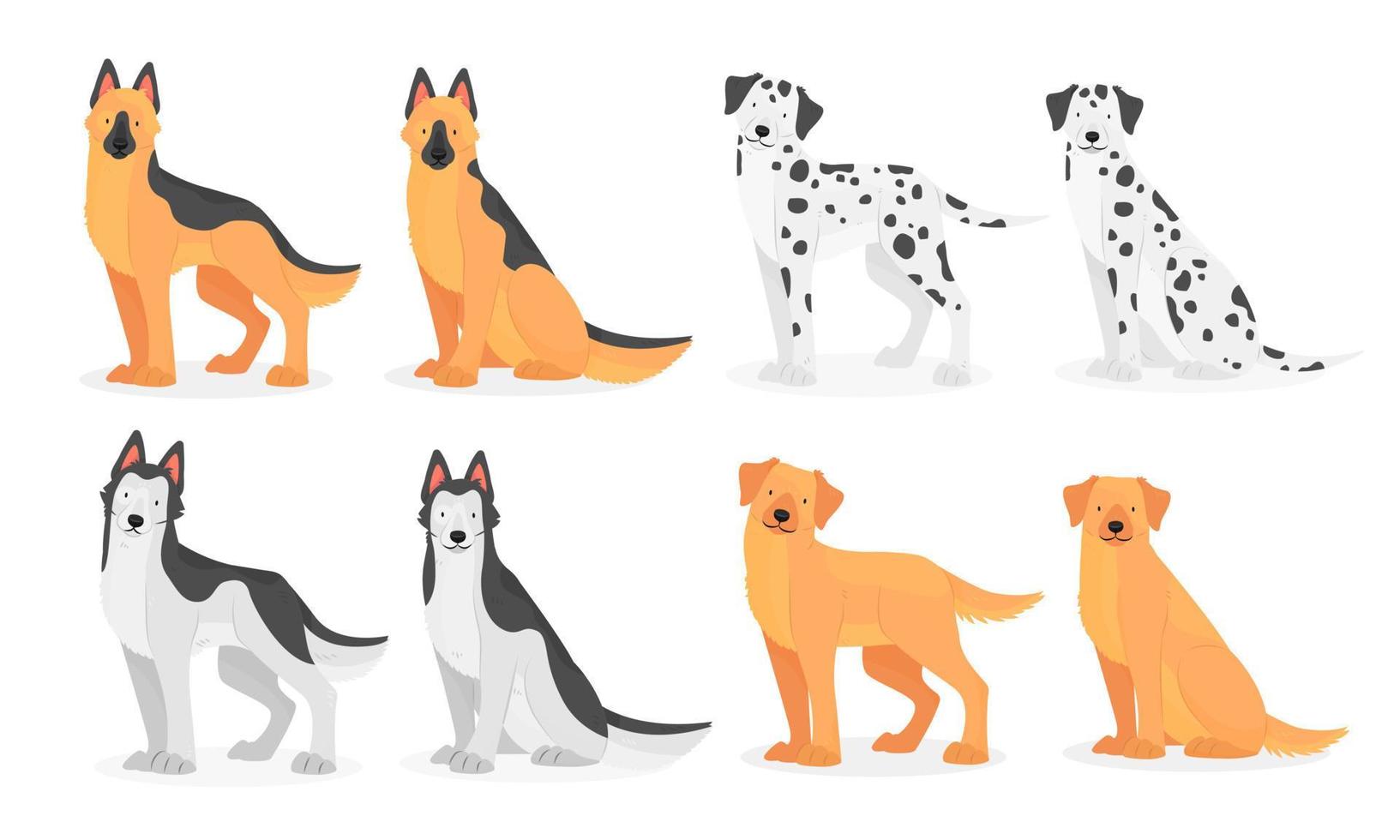 Collection of dog breeds German Shepherd, Dalmatian, Husky, golden Retriever, Labrador. Vector isolated pet illustration.