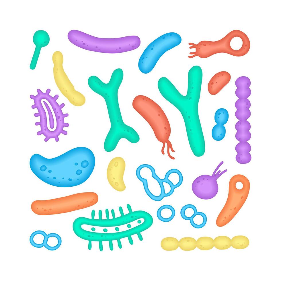 Microbiome illustration of bacteria. Vector image. Gastroenterologist. Bifidobacteria, lactobacilli. Lactic acid bacteria. Illustration in a flat style.