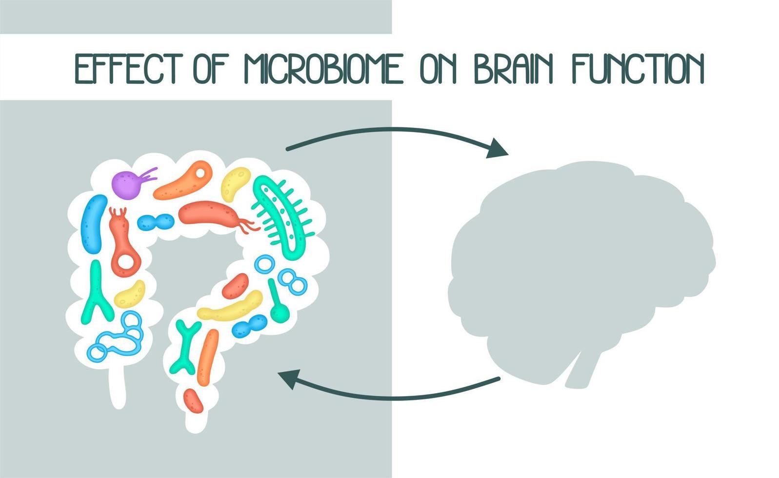 Human microbiome illustration with intestines and bacteria Vector picture. Gastroenterologist. Bifidobacteria, lactobacilli. Lactic acid bacteria.