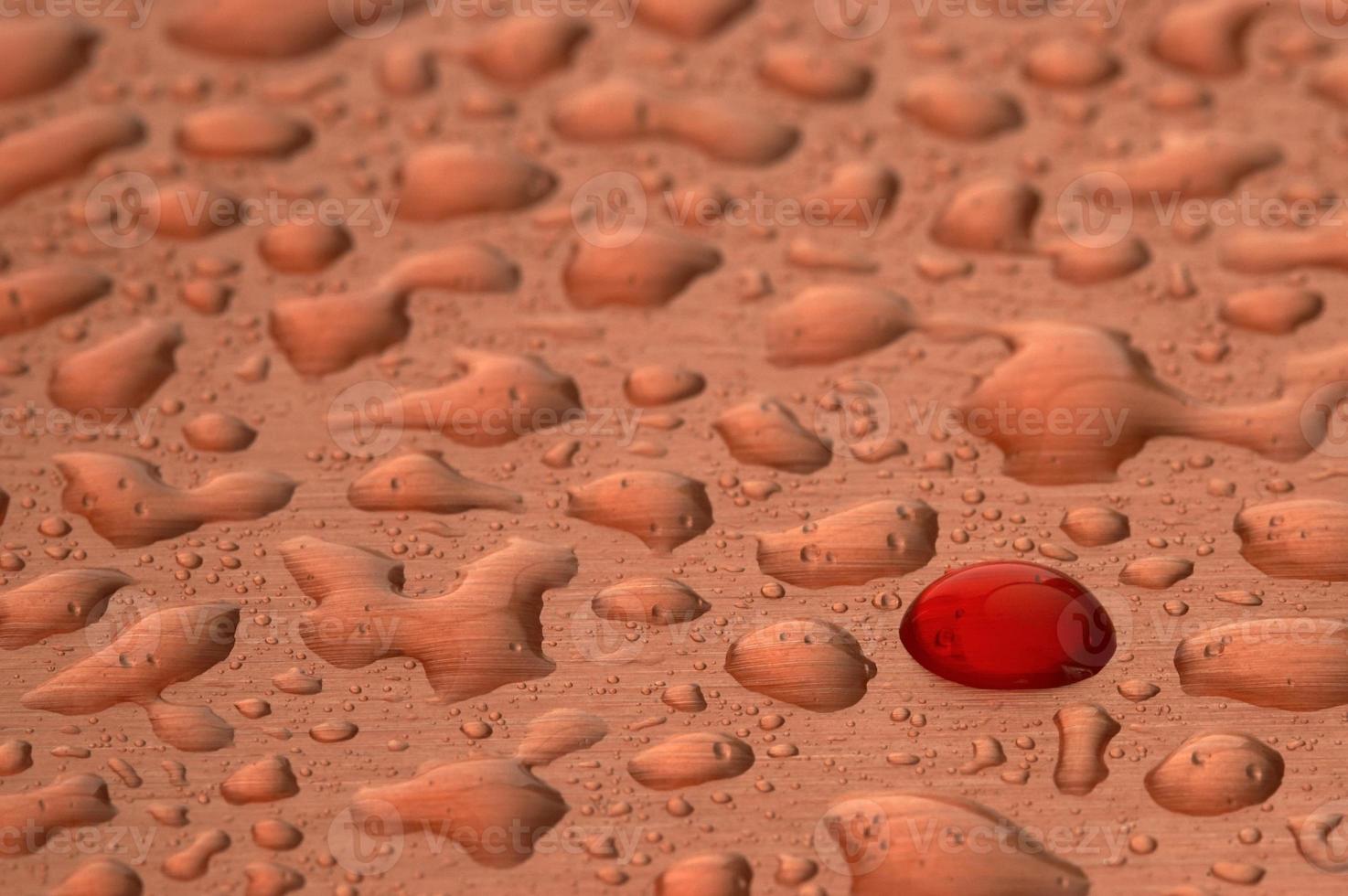 Drops after rains photo