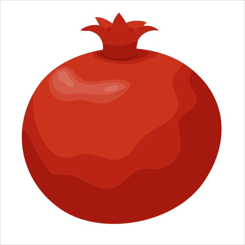 Ripe red pomegranate. Vector hand-drawn illustration.