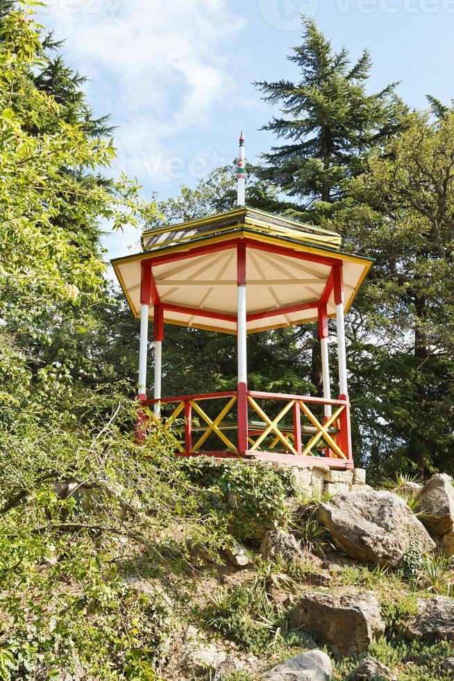 mirador en el jardín botánico nikitsky foto