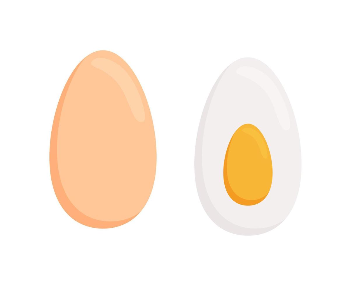 Whole and half, sliced eggs vector