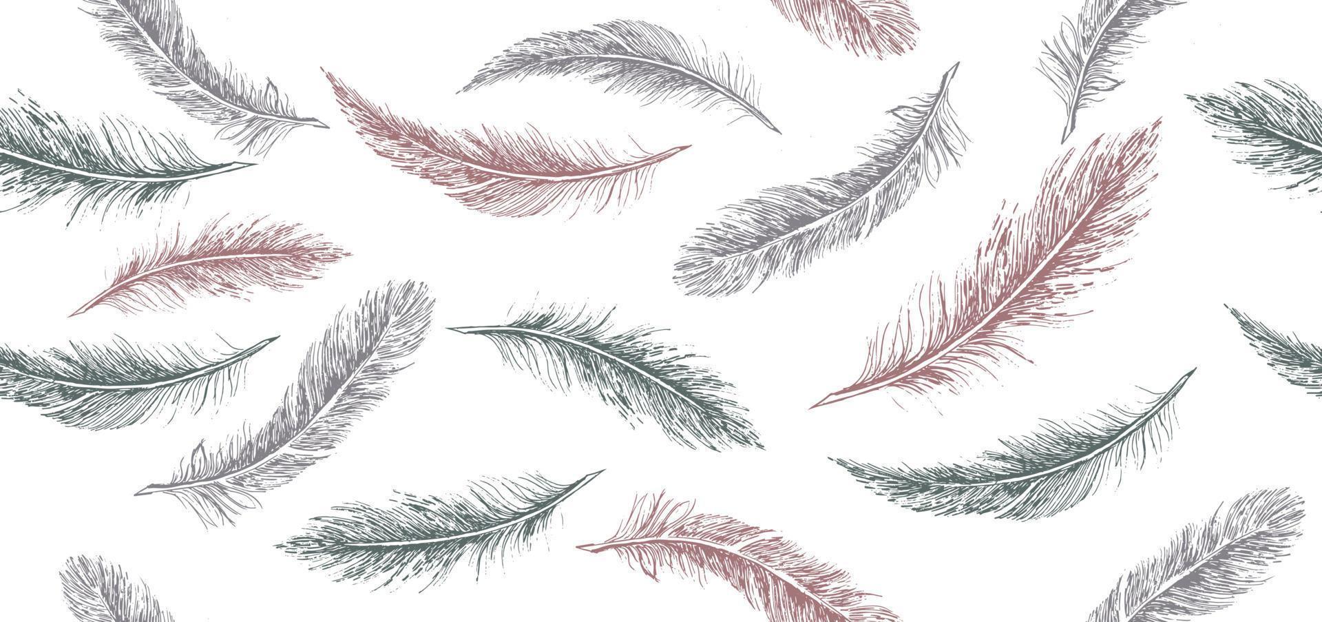 Feathers. Hand drawn sketch illustrations. vector