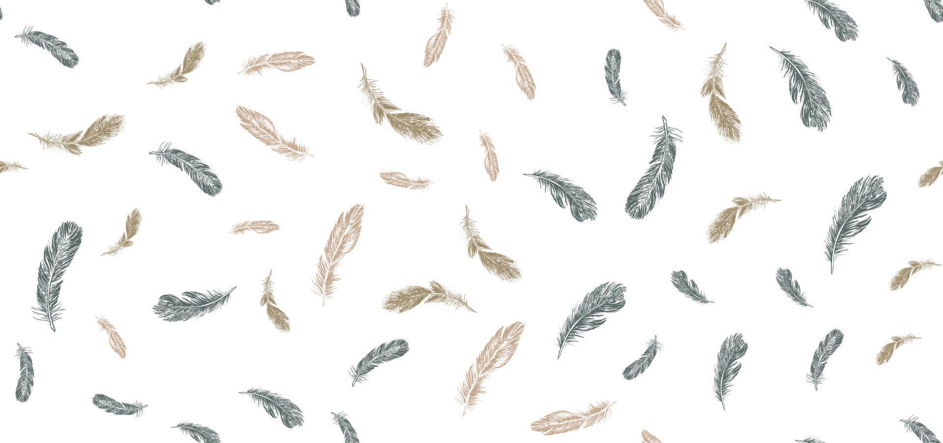 Feathers. Hand drawn sketch illustrations. vector