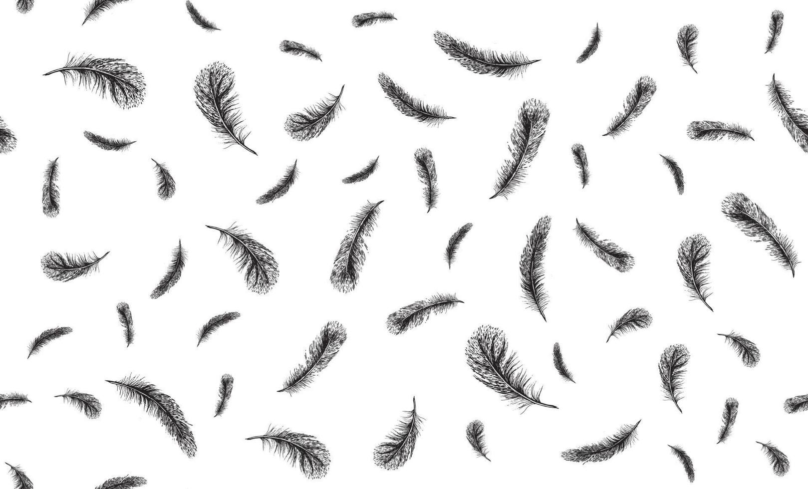plumas. ilustraciones de croquis dibujadas a mano. vector